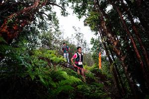 BIB: 
                            <button type="button" onclick="openModal(26203471)" class="btn btn-primary btn-sm float-right btn-popup" data-toggle="modal" data-target=".modal-high-quality">
                        <i class="fas fa-shopping-cart"></i> Add to Cart
                    </button>
                                            <button type="button" onclick="isThisMe(26203471, true)" class="btn btn-success btn-sm float-right btn-popup btn-isme hidden" data-toggle="tooltip" data-placement="bottom" title="นี่คือรูปของคุณใช่ไหม คลิกที่นี่เพื่อเอาเข้าอัลบั้ม">
                        <i class="fas fa-plus"></i> Add to album
                    </button>
                    <button type="button" onclick="isThisMe(26203471, false)" class="btn btn-warning btn-sm float-right btn-popup btn-isnotme hidden">
                        <i class="fas fa-ban"></i> Remove from album
                    </button>